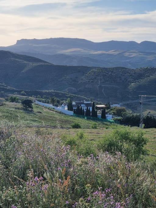 Holiday home Rustica Gamonales