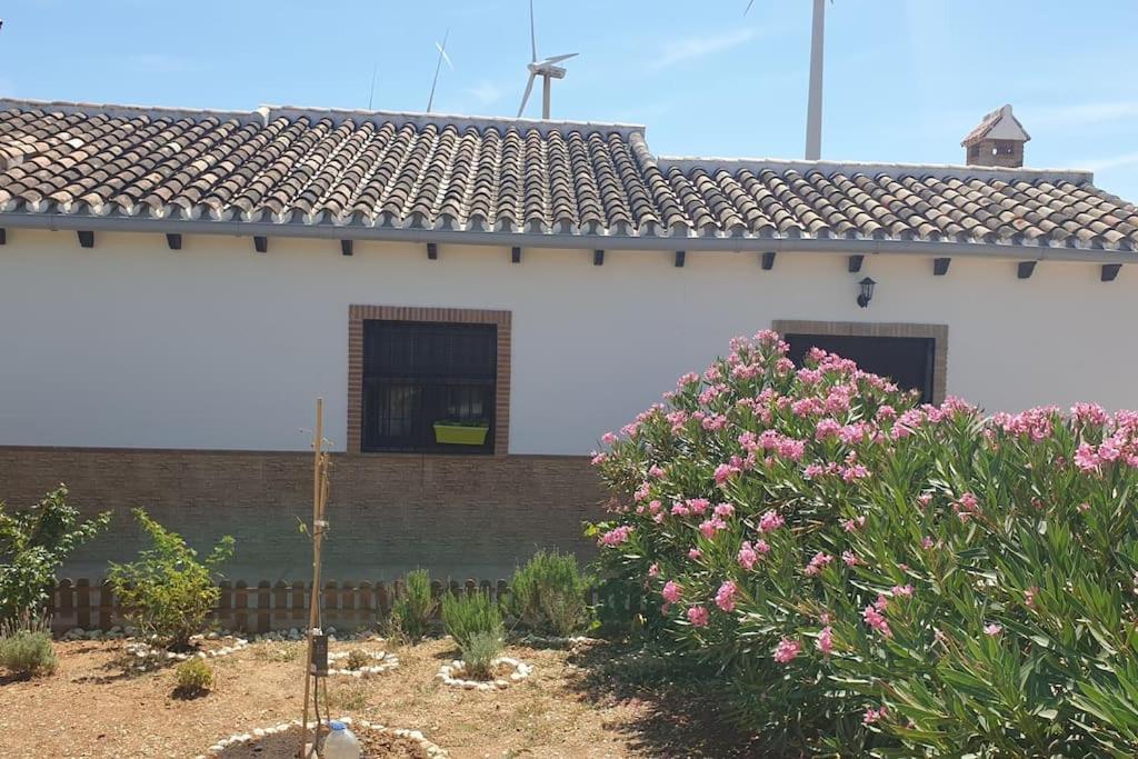 Holiday home Rustica Gamonales *